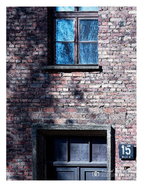 Pologne, Auschwitz